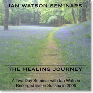 The Healing Journey Cover